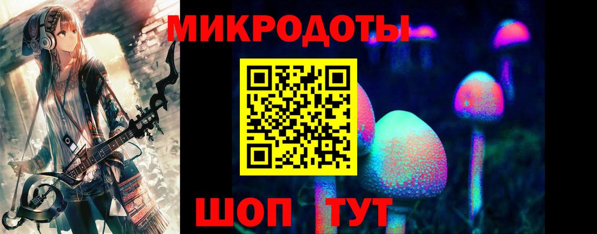Галлюциногенные грибы прущие грибы Армавир