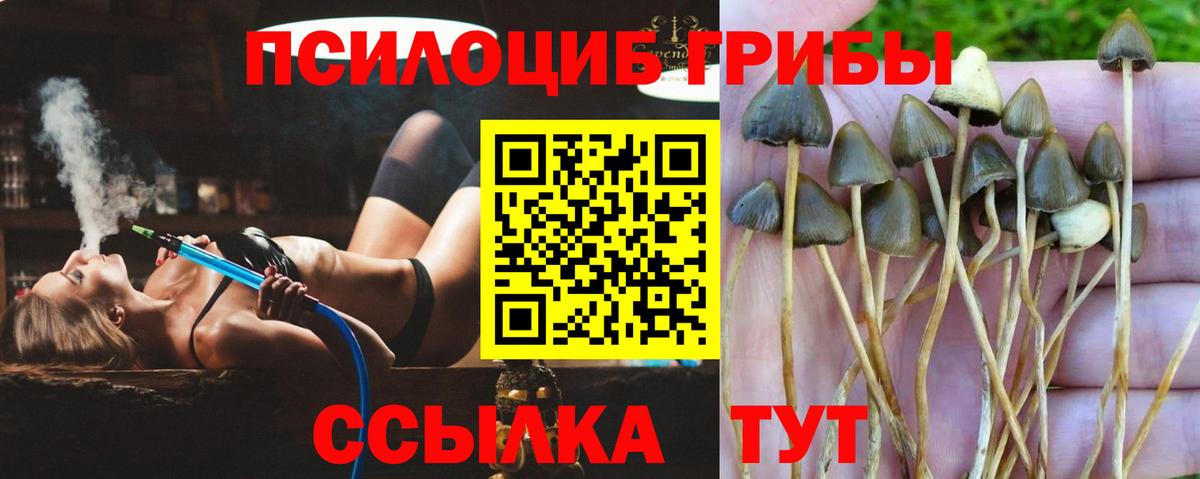 Галлюциногенные грибы мухоморы  Вход с VPN  Галлюциногенные грибы мицелий  Армавир 